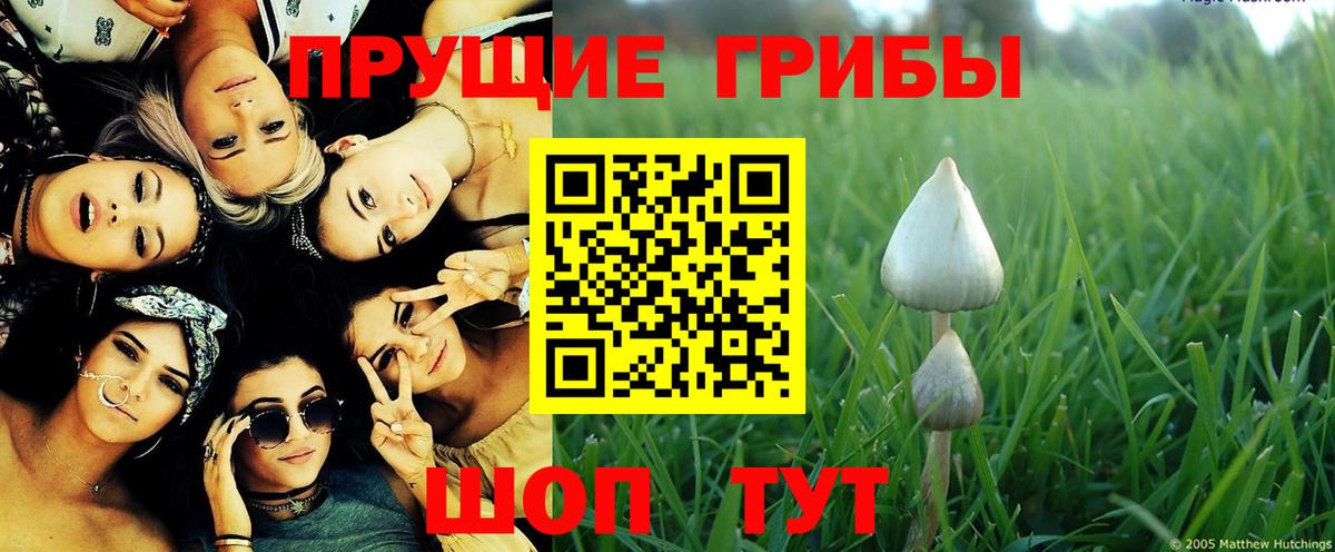 Псилоцибиновые грибы мухоморы Королёв