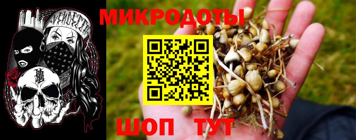 Королёв  Псилоцибиновые грибы Magic Shrooms  Псилоцибиновые грибы MAGIC MUSHROOMS  Вход с VPN 